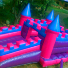 Fairy Jumping Castle for Sale