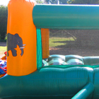 Ballpond Jumping Castle for Sale