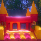 Girly Jumping Castle for Sale