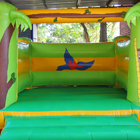 Tropical Jumping Castle for Sale